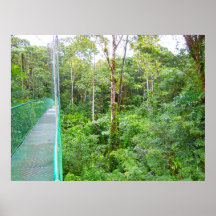 Suspension Bridge Posters