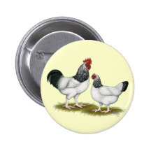 Sussex:  Light Pair Pin