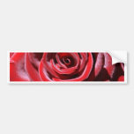 Sustainable Love Bumper Stickers