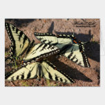 Swallowtail Trio cards