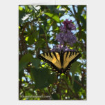 Swallowtail with Lilacs cards