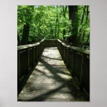 Swamp Boardwalk Posters