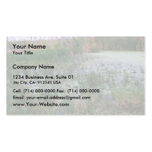 Swamp environment business card templates