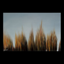 Swampgrass (2) posters