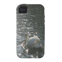 Swan Basking in The Sunshine Vibe iPhone 4 Cover