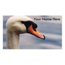 "Swan"Bird Photography Business Card