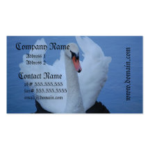 Swan Business Cards