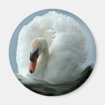 Swan Fridge Magnet