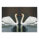 Swan Heart notecards