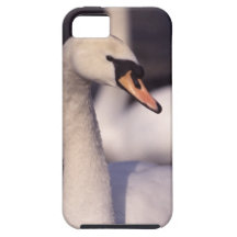 Swan Lake iPhone 5 Cases