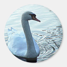 Swan Magnet