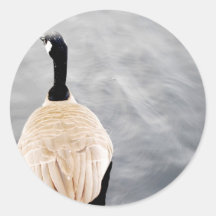 Swan on the Lake Round Stickers