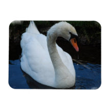 Swan Perfection Flexible Magnet