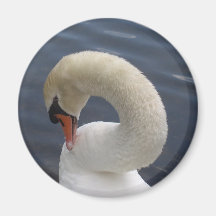 swan refrigerator magnet