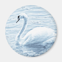 swan refrigerator magnets