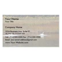 Swans at Potter Marsh Business Card Template