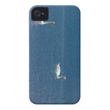 Swans iPhone 4 Cases