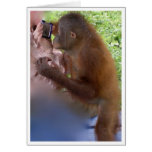 Sweet 16 Birthday Greeting Cards