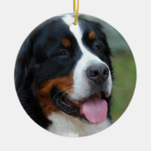 Sweet Bernese Ornament