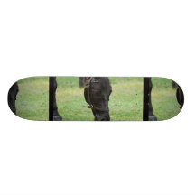 Sweet Black Horse Skateboard