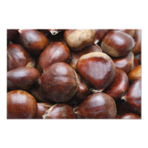 Sweet chestnuts art photo