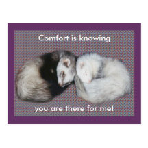 Sweet Dreams Ferrets Post Cards