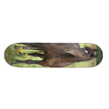 Sweet Friesian Horse Skateboard