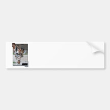Sweet Giraffe Bumper Sticker
