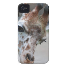 Sweet Giraffe Case-Mate iPhone 4 Cases