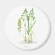 Sweet Grass Botanical Refrigerator Magnet