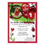 Sweet Ladybug Birthday Invitation ADORABLE (photo) invitations