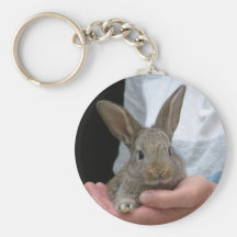 sweet little rabbit key chains