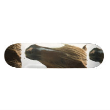 Sweet Mustang Horse Binder Skate Boards