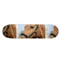 Sweet Palomino Skateboard