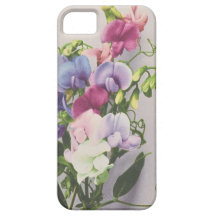 Sweet Pea 1907