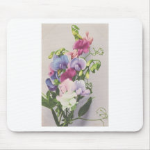 Sweet Pea 1907 Mouse Pads