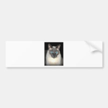 Sweet Pea Bumper Sticker