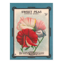 Sweet Peas Post Card