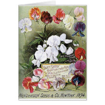 sweet peas seeds card