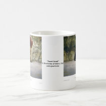 Sweet Sarah mugs