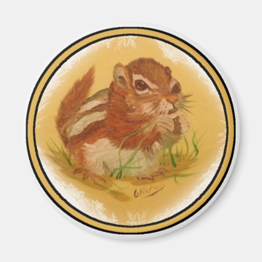 Sweet Squirrel Magnets