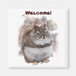 Sweet Squirrel Welcome Refrigerator Magnets
