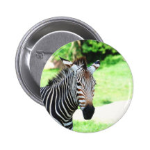 Sweet Zebra  Button