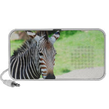 Sweet Zebra Speakers