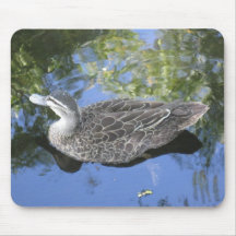 Swimming around Mouse Pad
