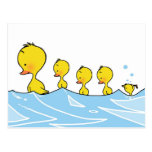 Swimming duck family postcard