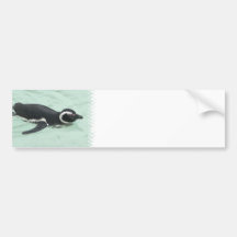 Swimming Penguin Bumper Sticker