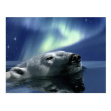 SWIMMING POLAR BEAR Postcard