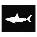 Swimming Shark Photo Art