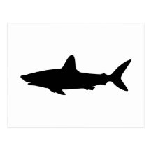 Swimming Shark Postcards